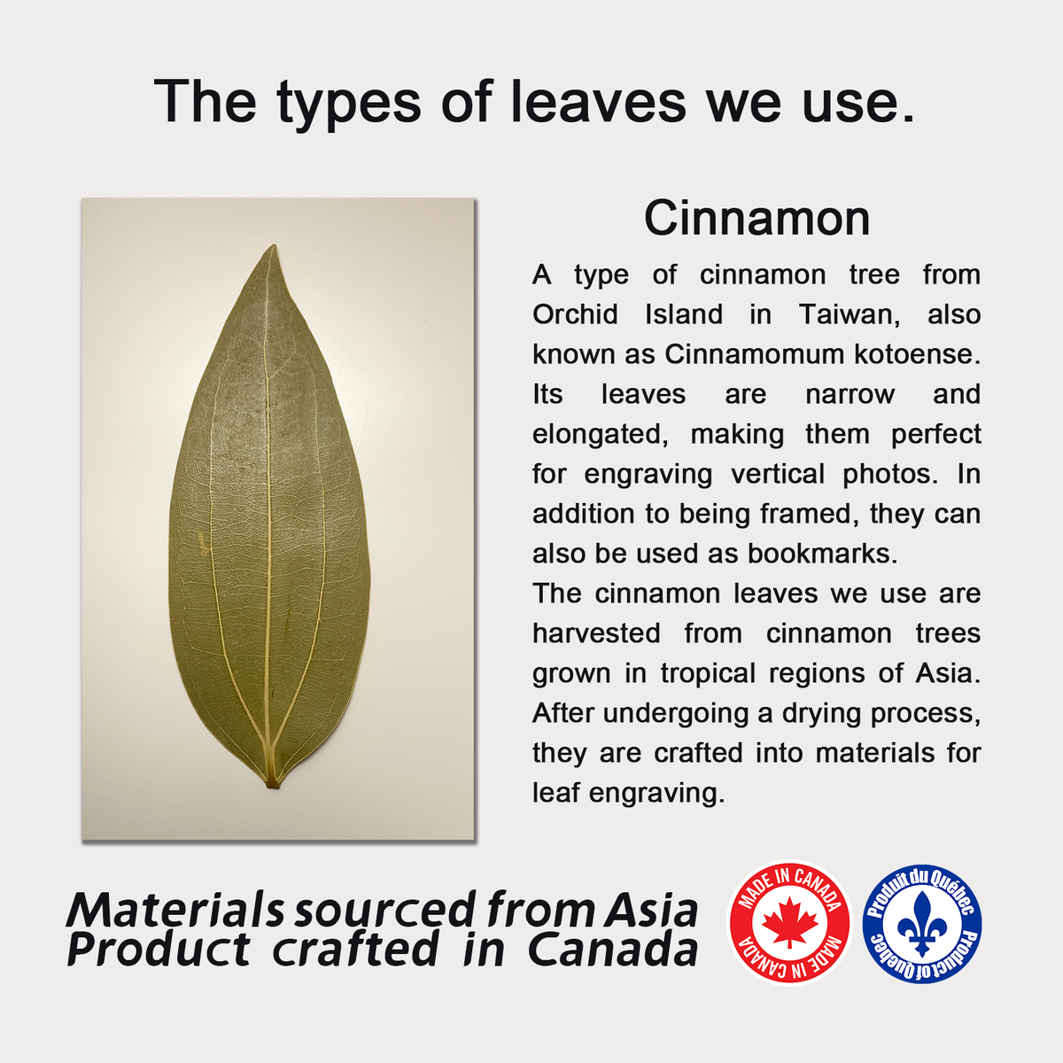 Custom Photo on Cinnamon Leaf, Engraved Photo on Leaf, Custom Home Decor, Personalized Portrait from Photo as Long Distance Gift with wooden frame