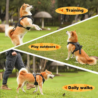 DogDynamics Harnesses Free shipping for 2 pieces