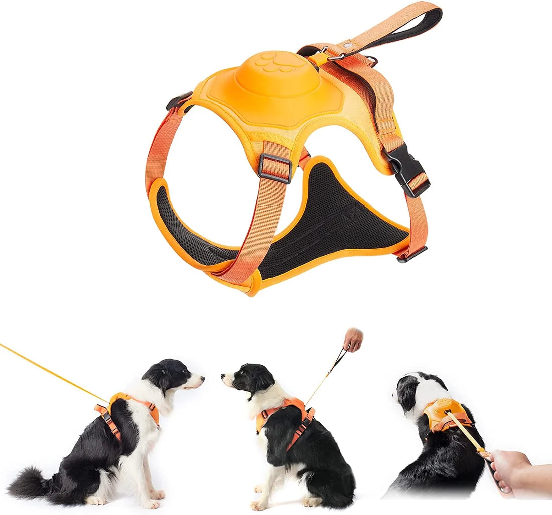 DogDynamics Harnesses Free shipping for 2 pieces